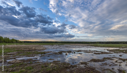 A large puddle in the middle of a plowed field. Swampy field, evening rural landscape. A strip of forest on the horizon. Sunset sky. © Sergei