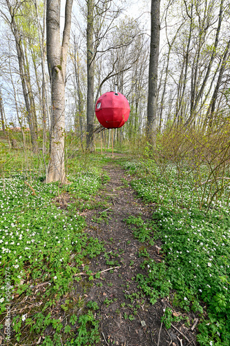 red round tent placed in tree in forest