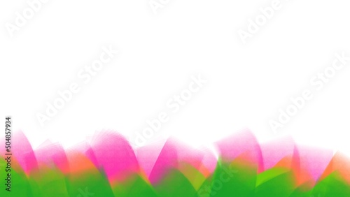 spring flowers border