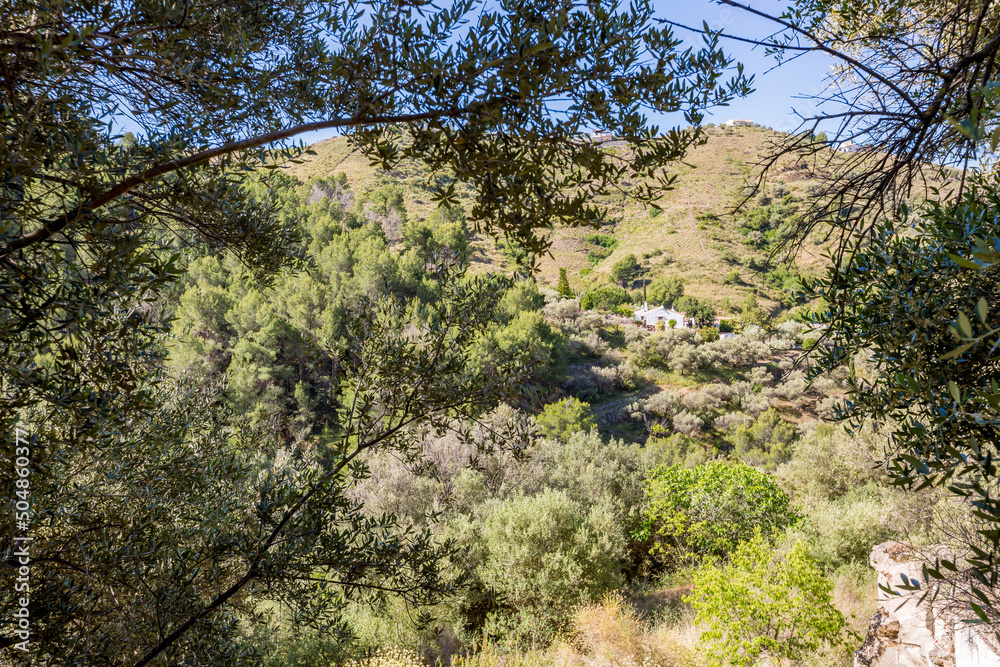 Forest walk. The Lost Village, El Acebuchal, Frigiliana, Andalusia, Spain. Sunny spring day street view. Forest walk. The Lost Village, El Acebuchal, Frigiliana, Andalusia, Spain. Sunny spring day street view.