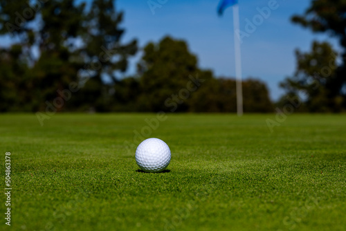 Golf ball in golf course. Golf ball on the lawn.