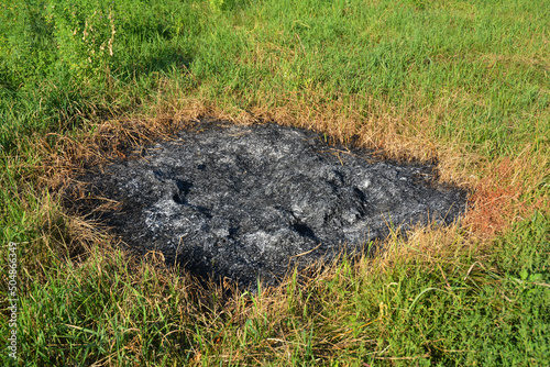 Burnt Grass. Burned Grass Hotsell.