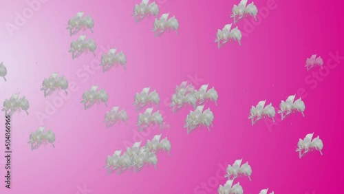 pink flowers background