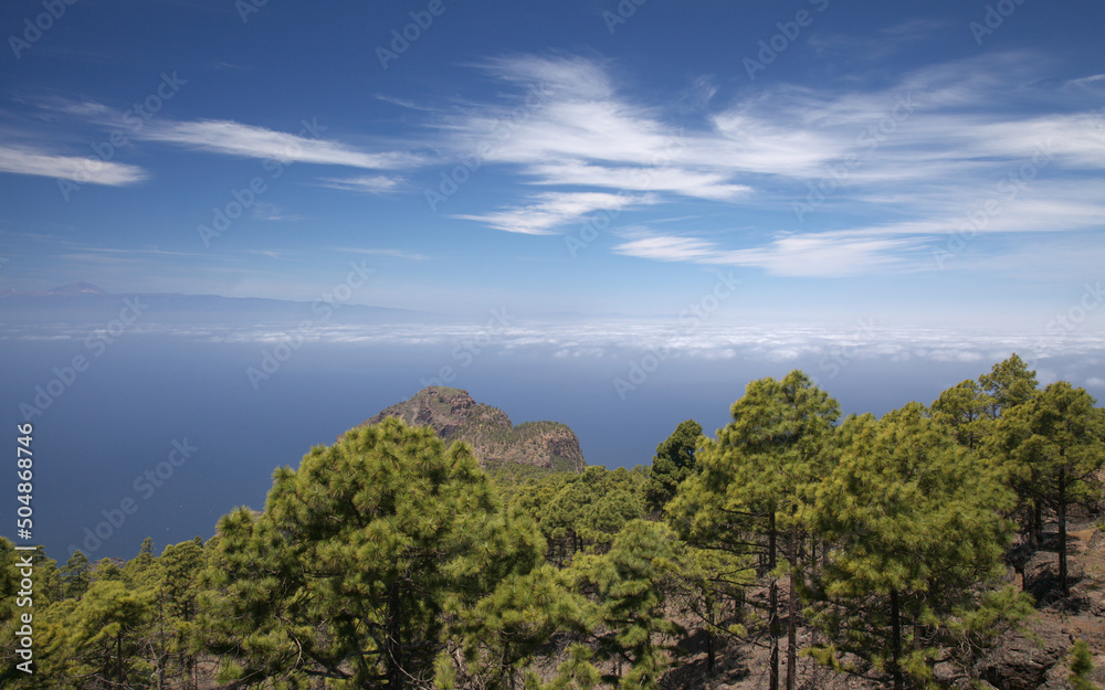 Gran Canaria, landscape of the mountainous part of the island in the Nature Park Tamadaba
