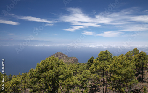 Gran Canaria, landscape of the mountainous part of the island in the Nature Park Tamadaba  © Tamara Kulikova