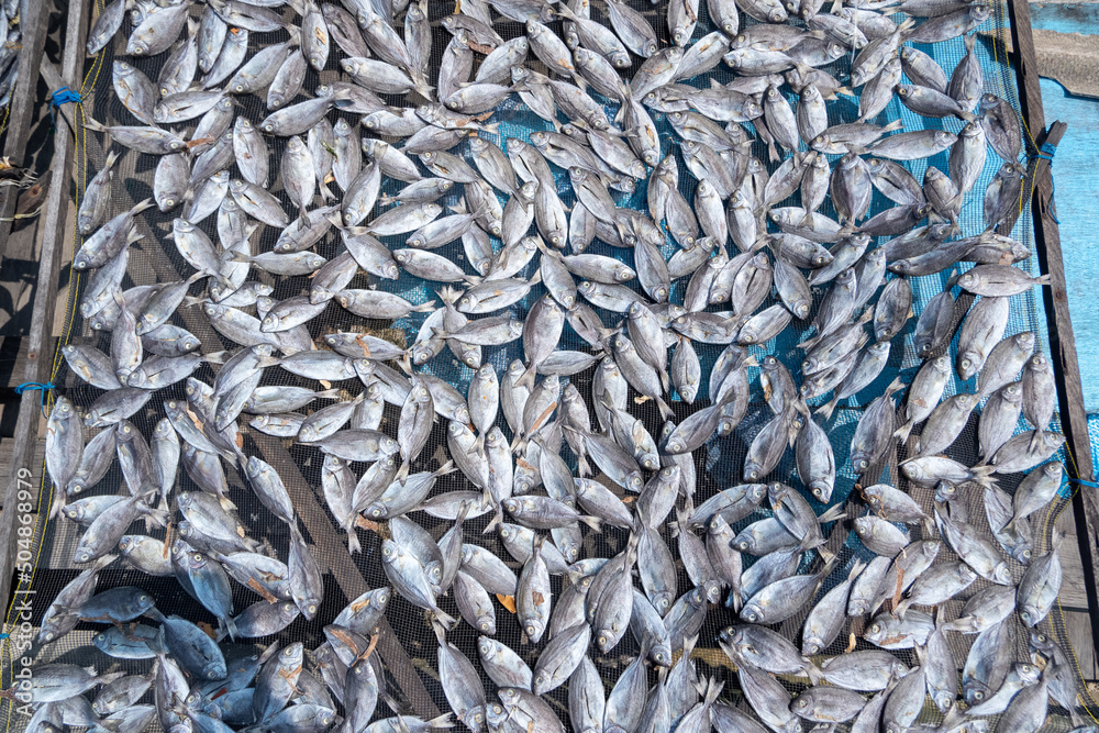 fish from fishermen that are dried in the sun to make it more durable, the process of making salted fish fish from fishermen that are dried in the sun to make it more durable, the process of making salted fish