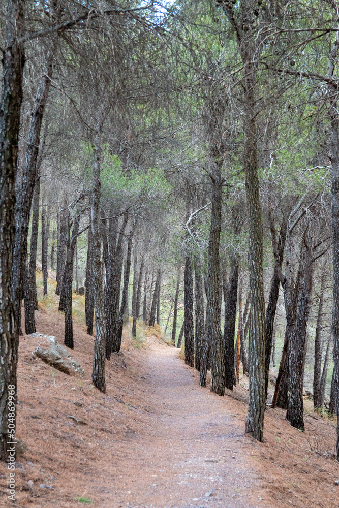 Hiking trail in the mountains of Sierra Nevada, Spain