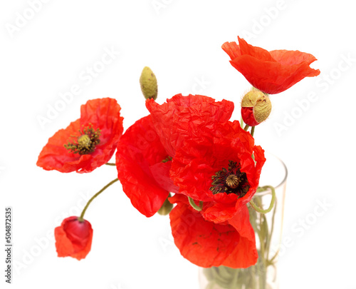 Flora of Gran Canaria - Papaver rhoeas, common poppy, small posy in a glass, isolated 
