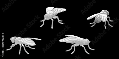 Fly made from cubes. Voxel art. Futuristic concept. 3d Vector illustration. Dimetric projection.