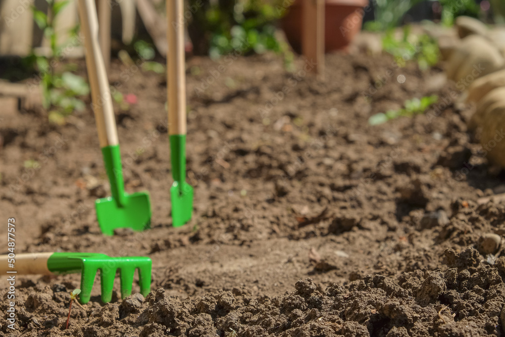 Gardening tools tools on the ground