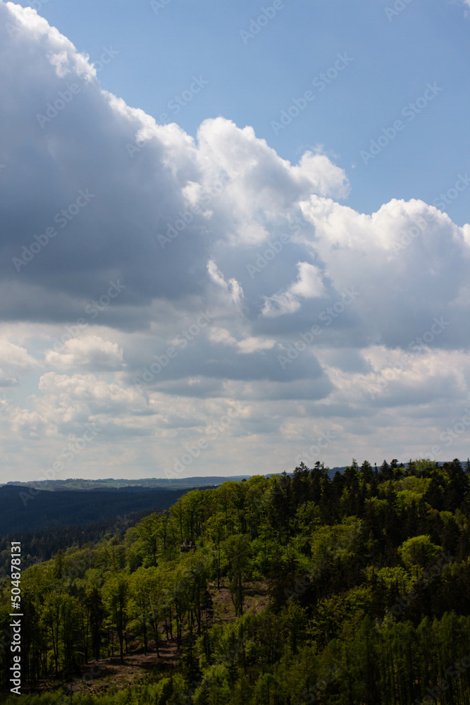 mountains with  green forest on hills