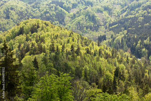 mountains with  green forest on hills