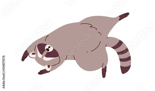 Cute lazy raccoon sleeping, relaxing. Sleepy racoon lying in funny pose. Amusing animal asleep. Lovely sweet character dreaming, lounging. Flat vector illustration isolated on white background