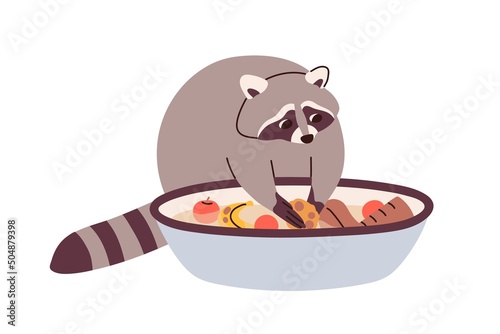 Cute raccoon washing food in basin. Funny racoon cleaning fruits in water bowl. Amusing lovely neat wild animal with eating. Adorable character. Flat vector illustration isolated on white background