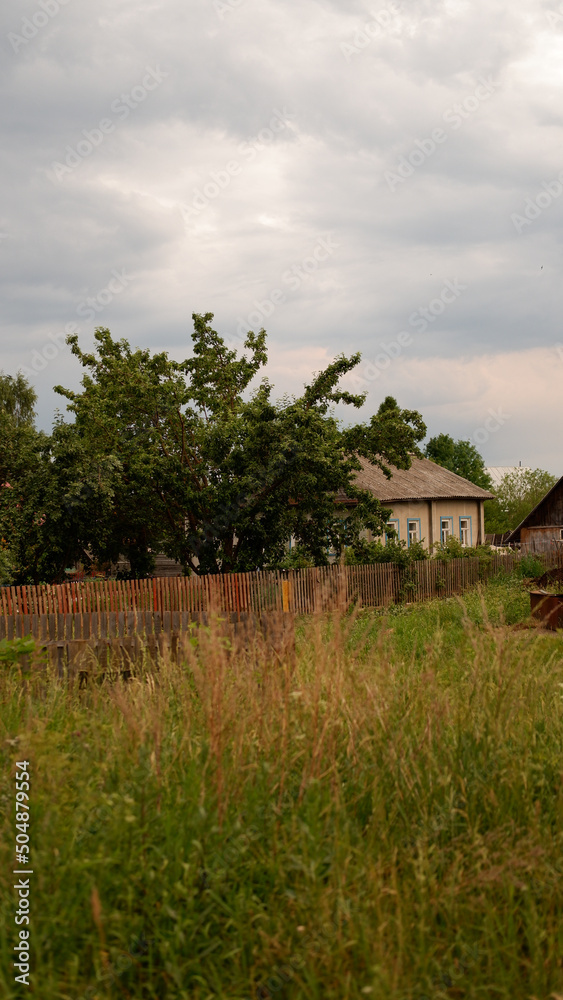 Beautiful rustic summer landscape. Old wooden log houses. Vologda region Beautiful rustic summer landscape. Old wooden log houses. Vologda region