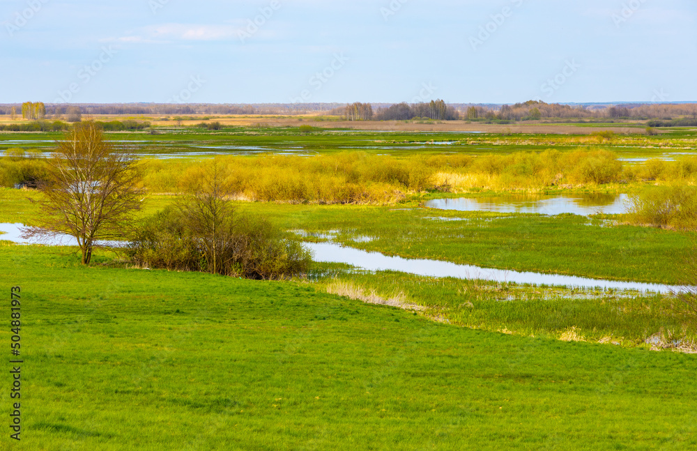 Naklejka premium Panoramic view of Biebrza river wetlands and bird wildlife reserve during spring nesting period in Burzyn village in Podlaskie region of Poland