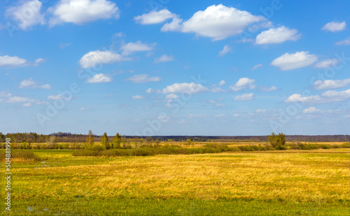 Panoramic view of Narew river grassy wetlands and bird wildlife reserve during spring nesting period in Zajki village near Wizna in Podlaskie region of Poland