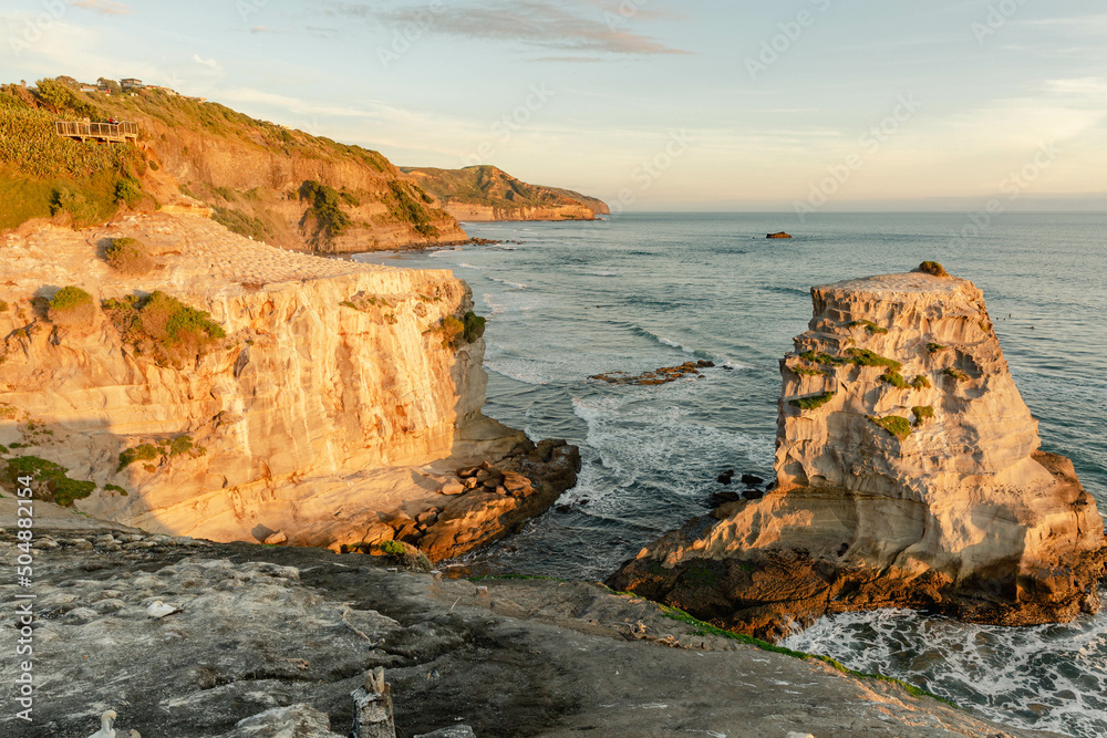 The breeding colony of Australasian gannets in Muriwai in autumn. Rock formations are illuminated by the setting sun. Most nests are empty, but a few birds remain.
