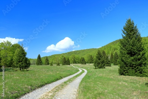 Beautiful nature with green meadows, forest and field road in spring; mountain landscape on Matic poljana in Gorski kotar area, Croatia