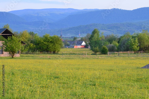Garden, cherry orchard, flowering trees, spring, beauty, nature, nature without finishing, wallpaper nature, for nature site, ecology, clean air, Ukraine, Transylvania, Carpathians, rural life, rural 