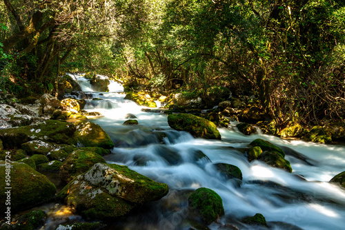 A mountain river flows in a forest. Rocky path along the river. photo