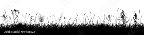 Meadow with wild weeds and grass, silhouette. Background of grassland. Vector illustration