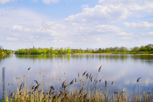 Lower large pond Bärnsdorf. Lake with landscape near Moritzburg, Saxony. Reservoir in the nature reserve.
 photo