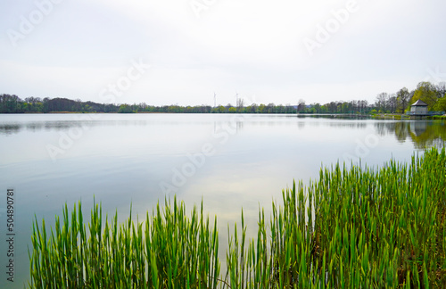 View of the Glauchau reservoir in Saxony. Landscape with a lake and the surrounding nature. 