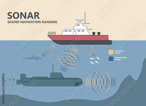 Bio sonar sound detect object locate measure prey wave reflect bat pulse hertz high low echolocate listen echo radar ocean system food signal hear navigate survey scan sea fish depth ship boat target