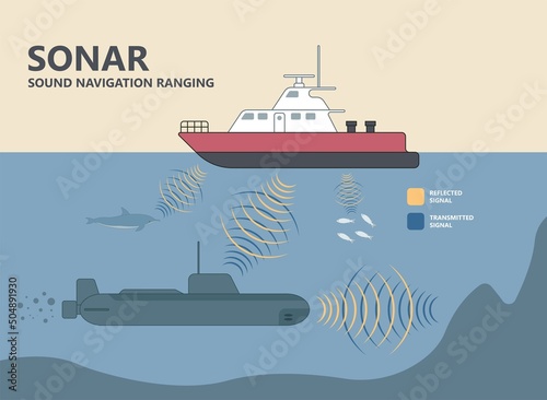 Bio sonar sound detect object locate measure prey wave reflect bat pulse hertz high low echolocate listen echo radar ocean system food signal hear navigate survey scan sea fish depth ship boat target photo