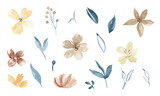 Collection of hand drawn watercolor flowers. Isolated on white backdrop. For invitations decor and design, print. 