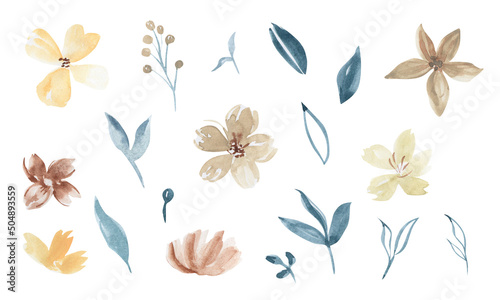 Collection of hand drawn watercolor flowers. Isolated on white backdrop. For invitations decor and design  print. 