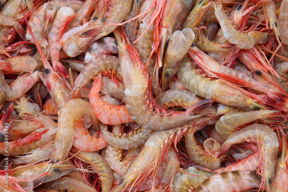 sea shrimp stock on market