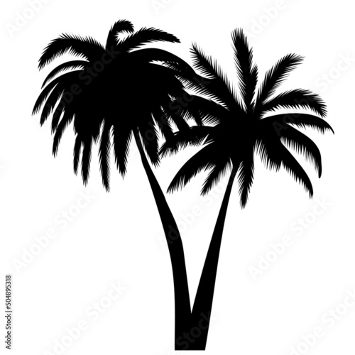 palm tree silhouette  on white background  isolated  vector
