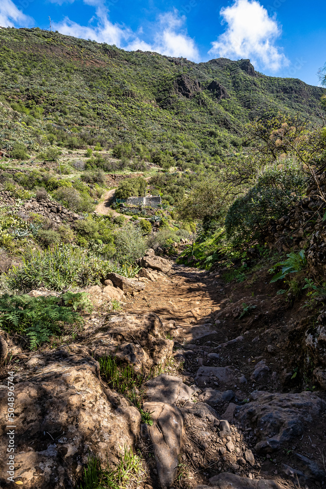 Amazing View on Barranco de Guayadeque, Gran Canaria, Canary Island, Spain, Europe Amazing View on Barranco de Guayadeque, Gran Canaria, Canary Island, Spain, Europe