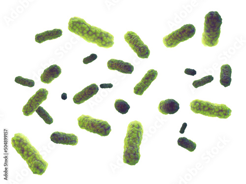 Green intestinal bacteria ( Salmonella ) isolated on white background. Bacterial gut microbiota and infection 