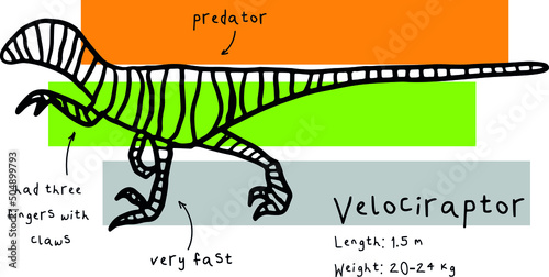 Print with abstract velociraptor and facts. Print with dino for textile, fabric, kids, boy, t-shirt, Web, clothes, socks and other design.