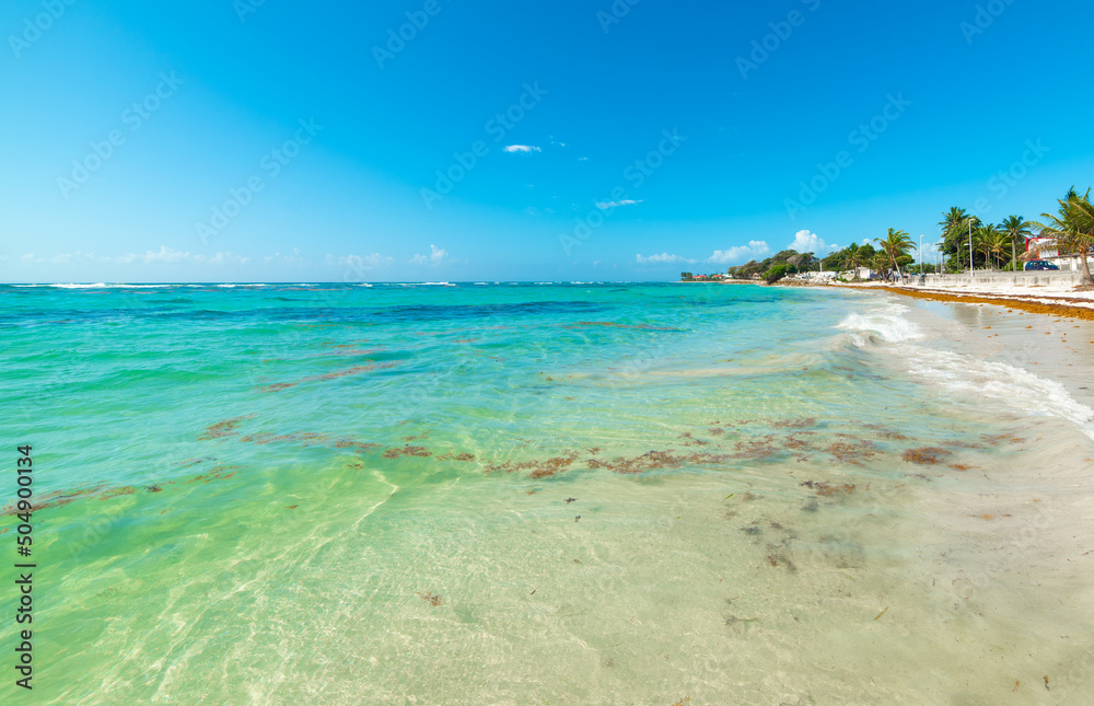 Clear water in Raisins Clairs beach in Guadeloupe