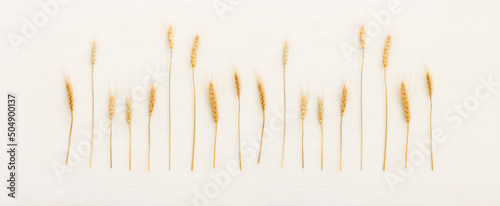 Canvas top view of wheat crops over white wooden background