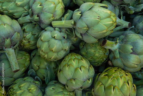 Close-up of artichokes, Cynara cardunculus scolymus photo