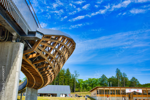 日本のVisonにある芸術的な橋 photo