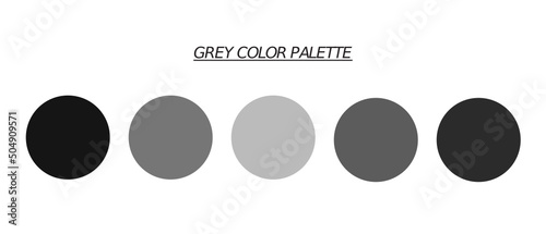 Grey aesthetic color palette for web, illustration, art