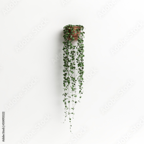 3d illustration wall potted plant isolated on white background