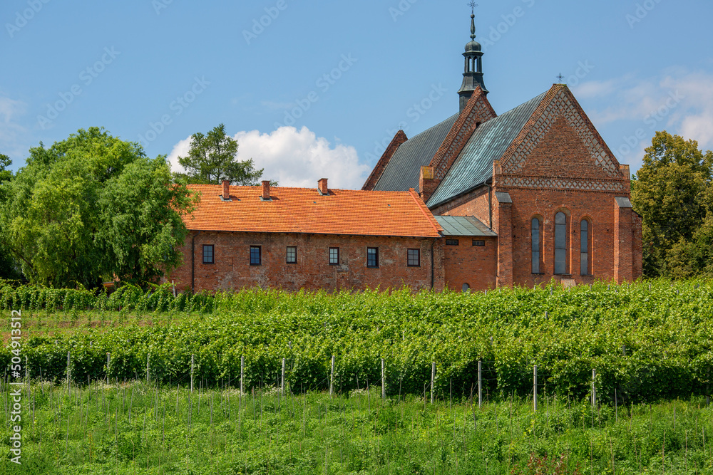 13th century brick Dominican Church and Convent of St. James and cloister vineyard, Sandomierz, Poland.