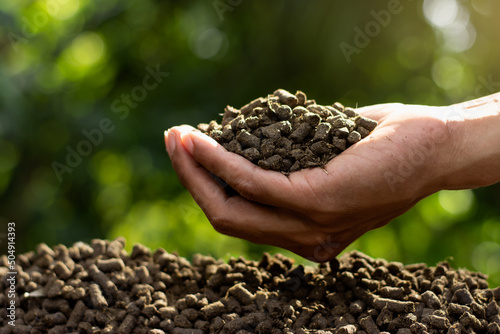 Lots of manure or pellets in the hands of a farmer.