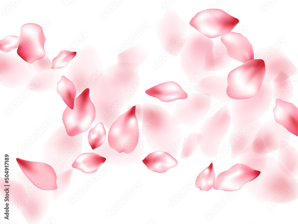 Pink sakura flower flying petals isolated on white vector background.