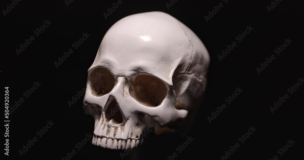 White skull against dark background closeup footage