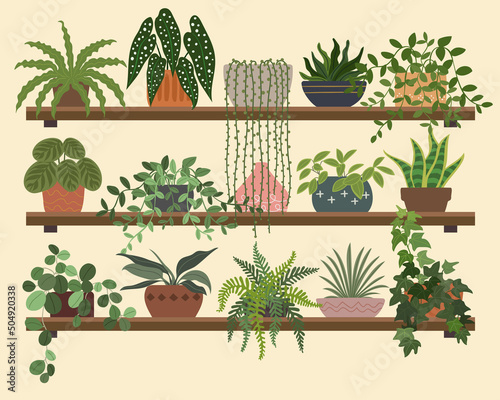 Indoor Plant Wood Wall Panel