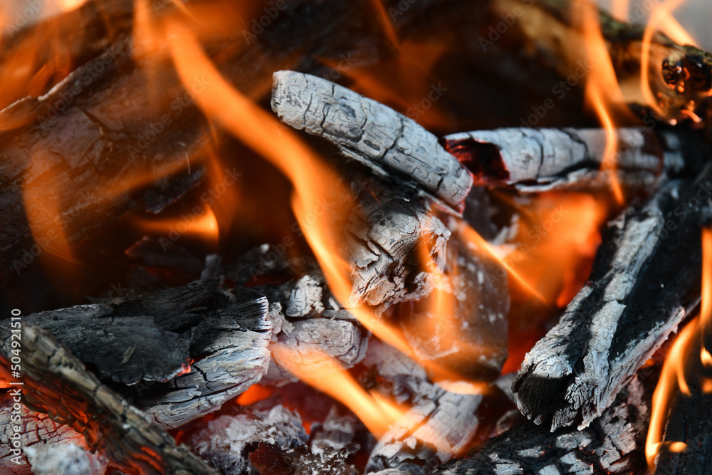 Lagerfeuer, brennendes Holz Stock Photo Adobe Stock