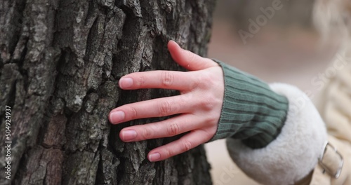 Cuadro en lienzo Female Hand Touching and Stroking Bark of Tree with camera following slow motion